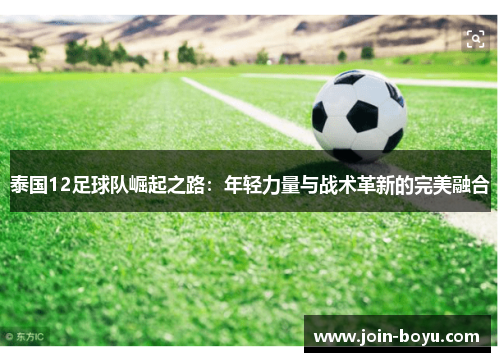 泰国12足球队崛起之路：年轻力量与战术革新的完美融合