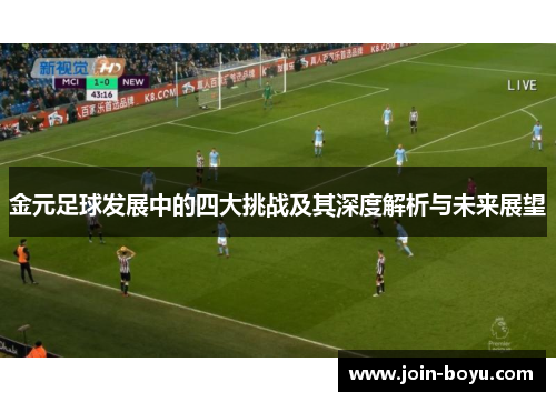 金元足球发展中的四大挑战及其深度解析与未来展望