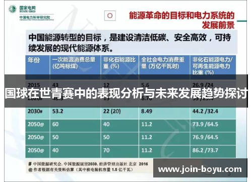 国球在世青赛中的表现分析与未来发展趋势探讨